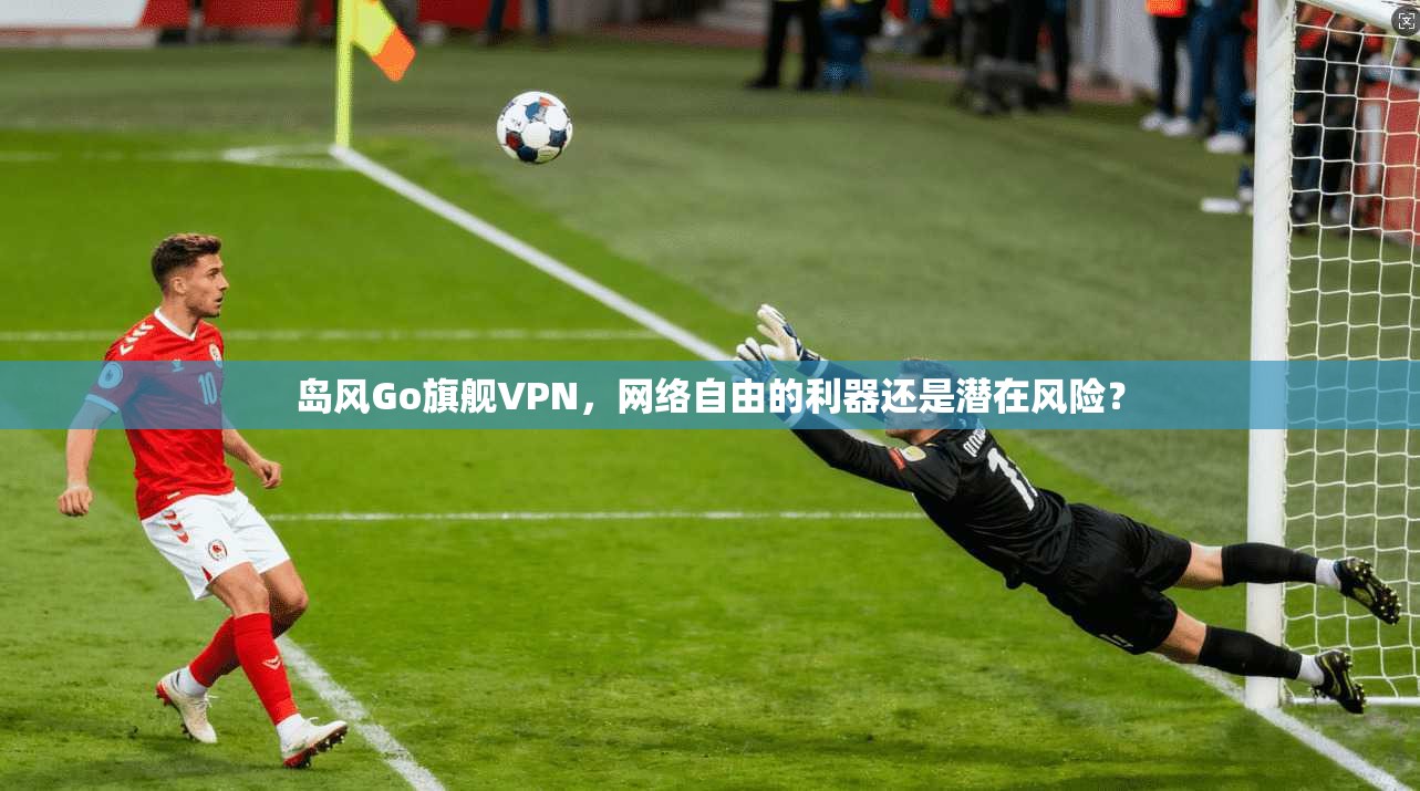 岛风Go旗舰VPN,网络自由的利器还是潜在风险?