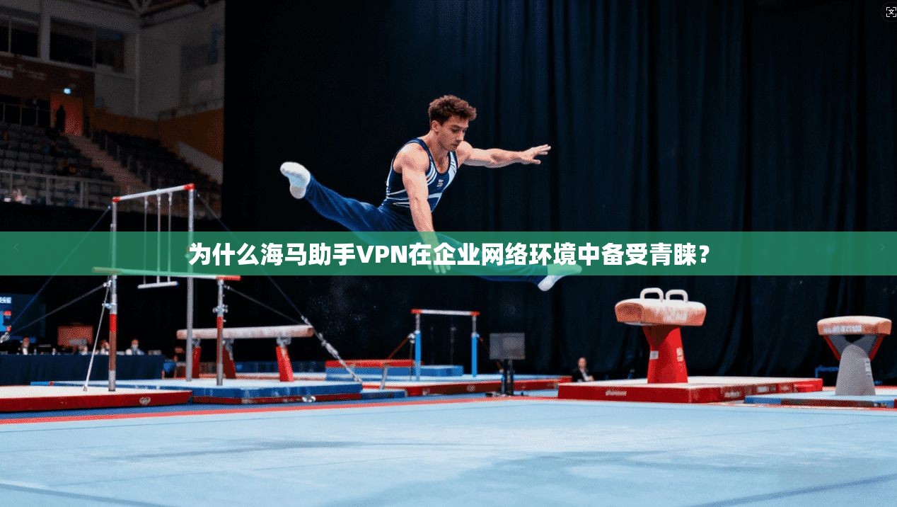为什么海马助手VPN在企业网络环境中备受青睐？