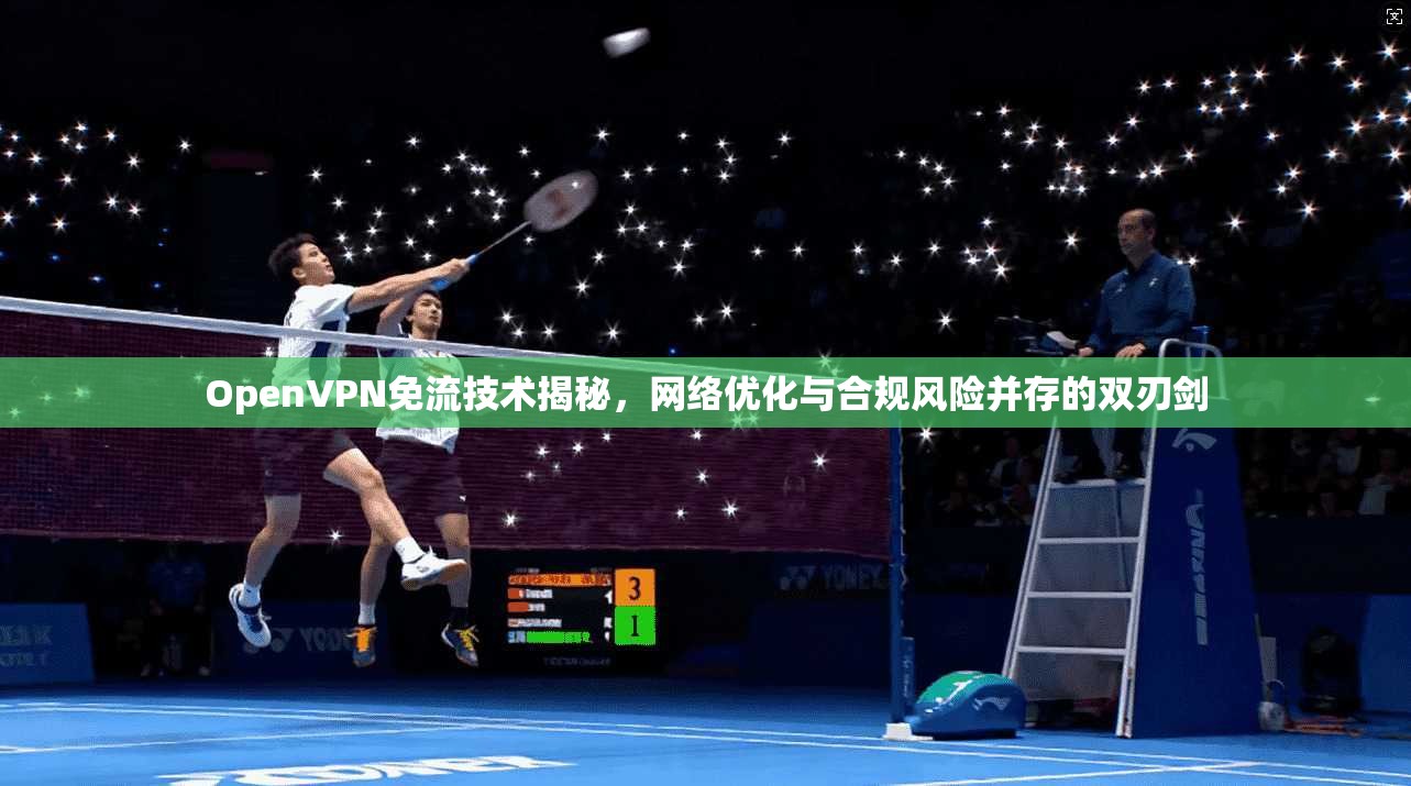 OpenVPN免流技术揭秘，网络优化与合规风险并存的双刃剑