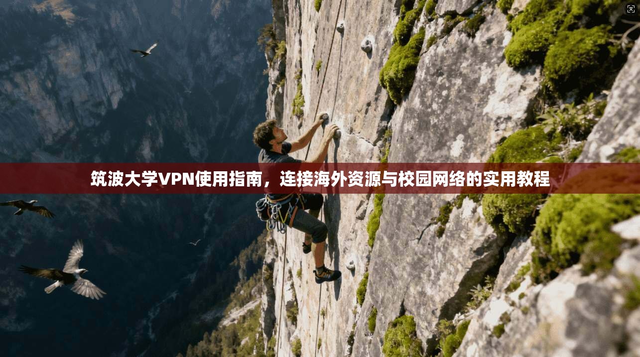 筑波大学VPN使用指南,连接海外资源与校园网络的实用教程