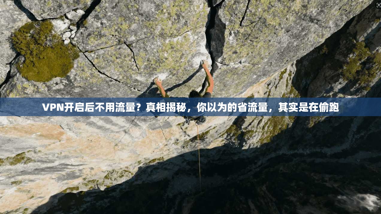 VPN开启后不用流量?真相揭秘,你以为的省流量,其实是在偷跑