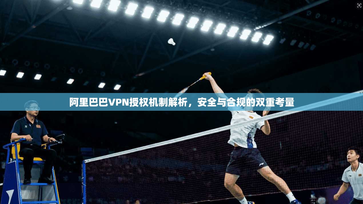 阿里巴巴VPN授权机制解析,安全与合规的双重考量
