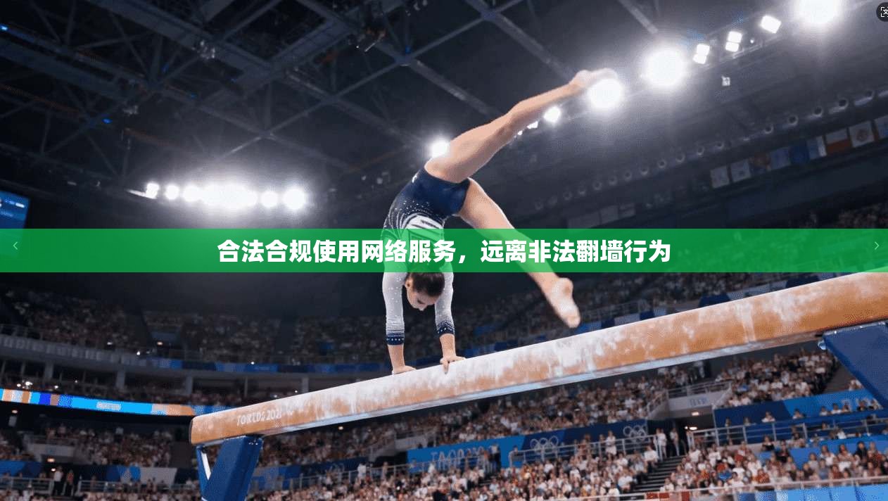 合法合规使用网络服务,远离非法翻墙行为