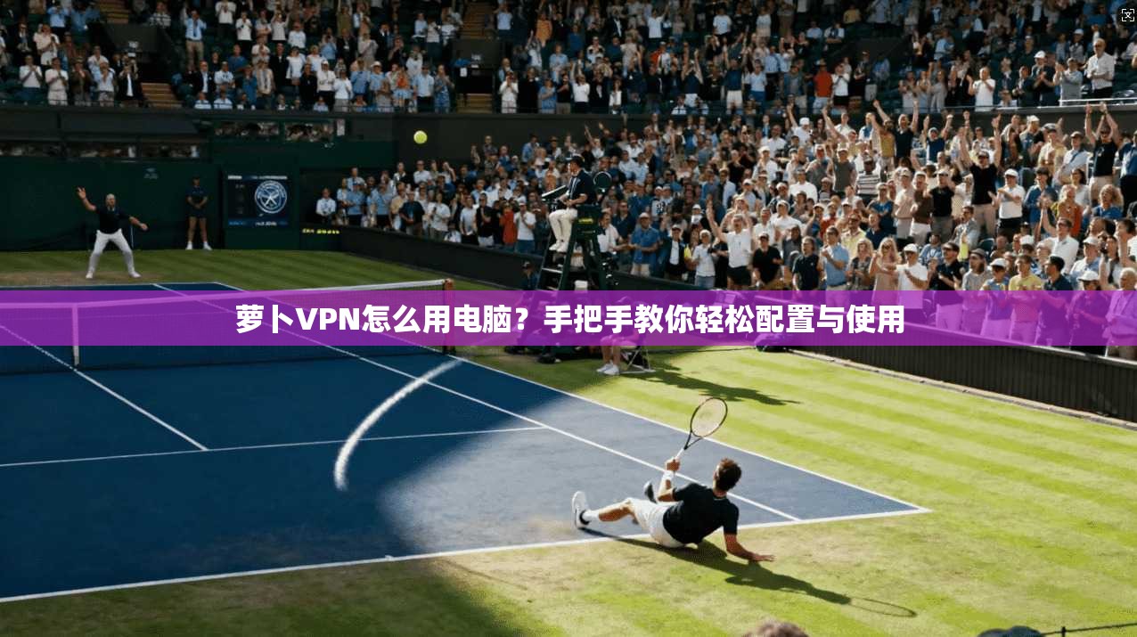 萝卜VPN怎么用电脑?手把手教你轻松配置与使用