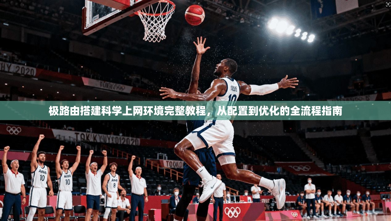 极路由搭建科学上网环境完整教程,从配置到优化的全流程指南