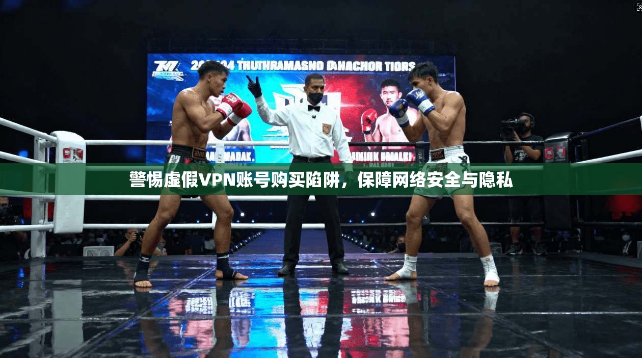 警惕虚假VPN账号购买陷阱,保障网络安全与隐私