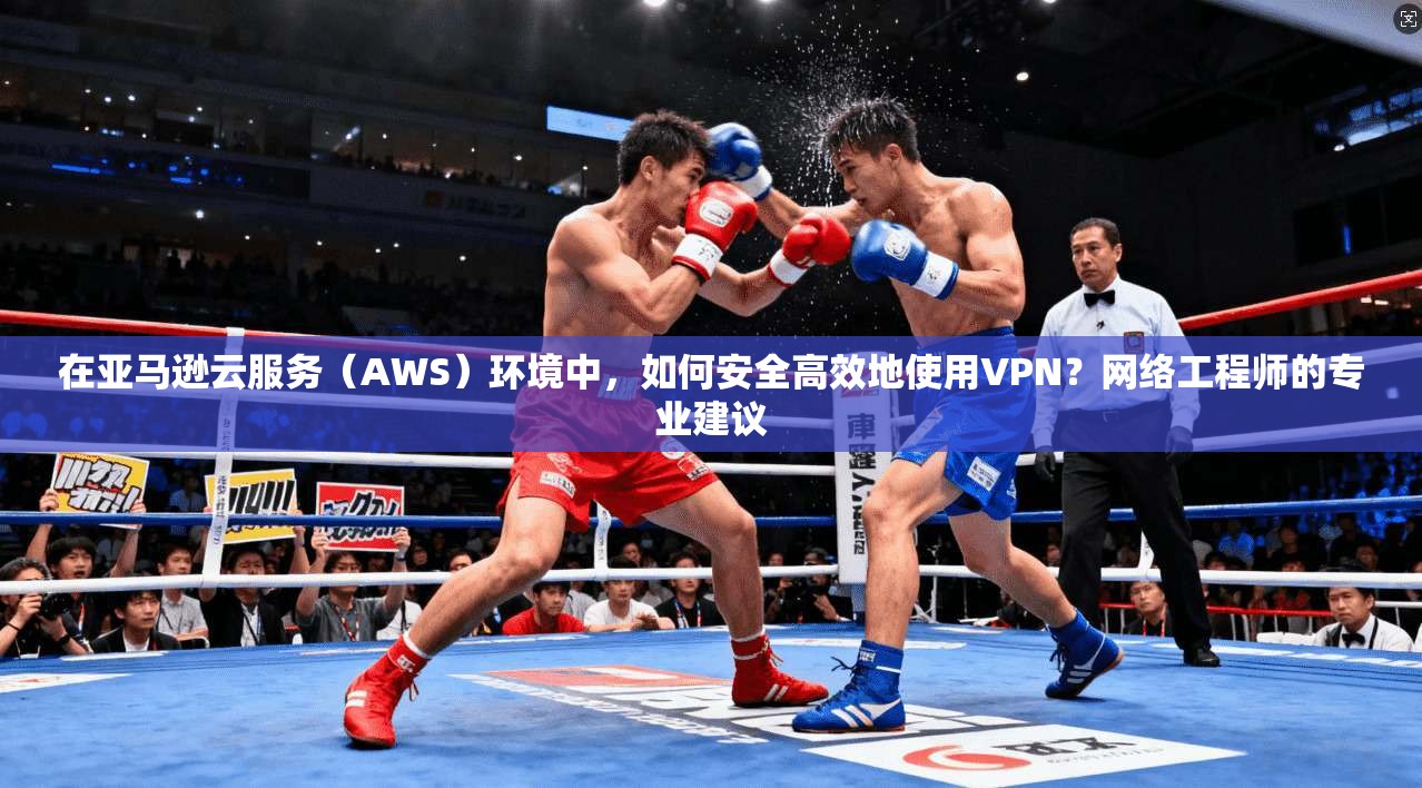 在亚马逊云服务(AWS)环境中,如何安全高效地使用VPN?网络工程师的专业建议