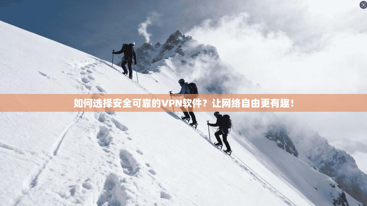 如何选择安全可靠的VPN软件?让网络自由更有趣!