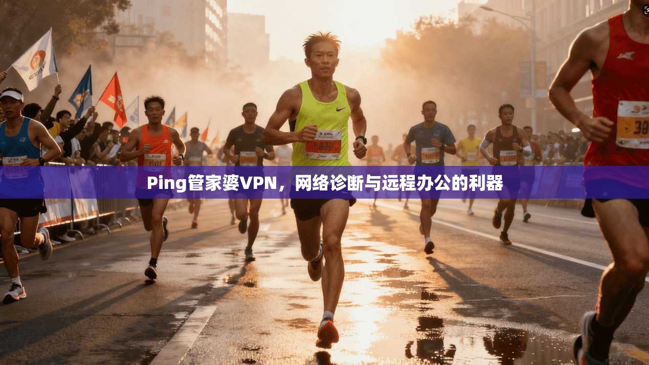 Ping管家婆VPN,网络诊断与远程办公的利器