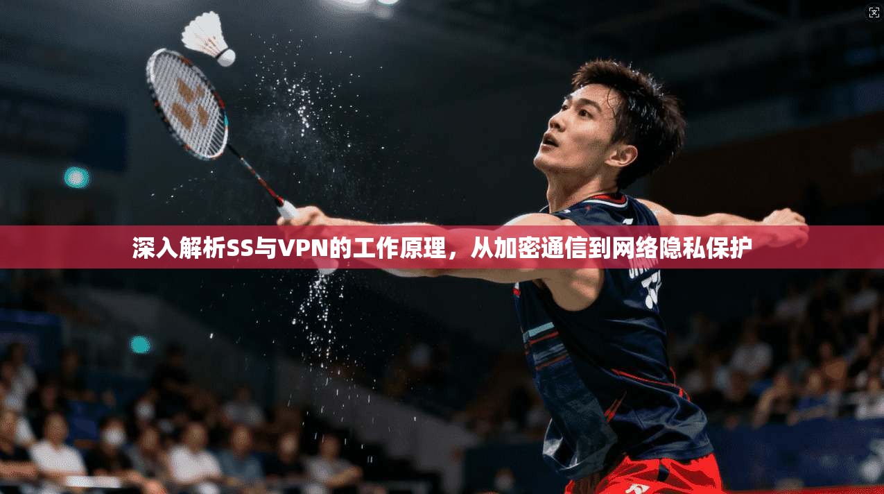 深入解析SS与VPN的工作原理,从加密通信到网络隐私保护