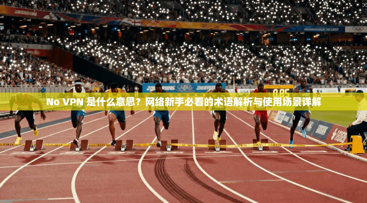No VPN 是什么意思?网络新手必看的术语解析与使用场景详解