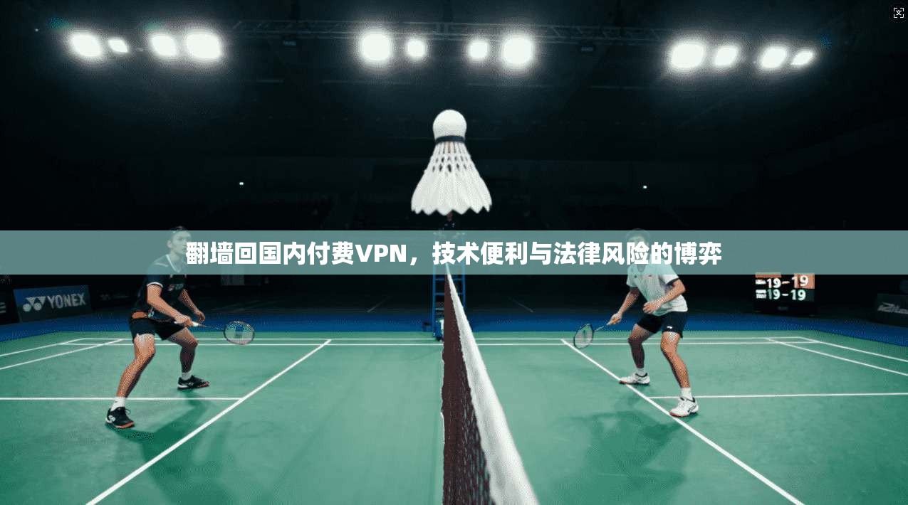翻墙回国内付费VPN,技术便利与法律风险的博弈