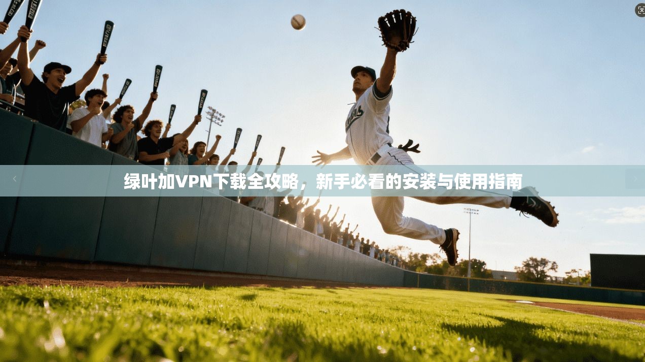 绿叶加VPN下载全攻略,新手必看的安装与使用指南