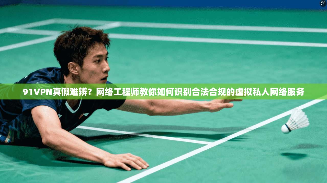 91VPN真假难辨?网络工程师教你如何识别合法合规的虚拟私人网络服务