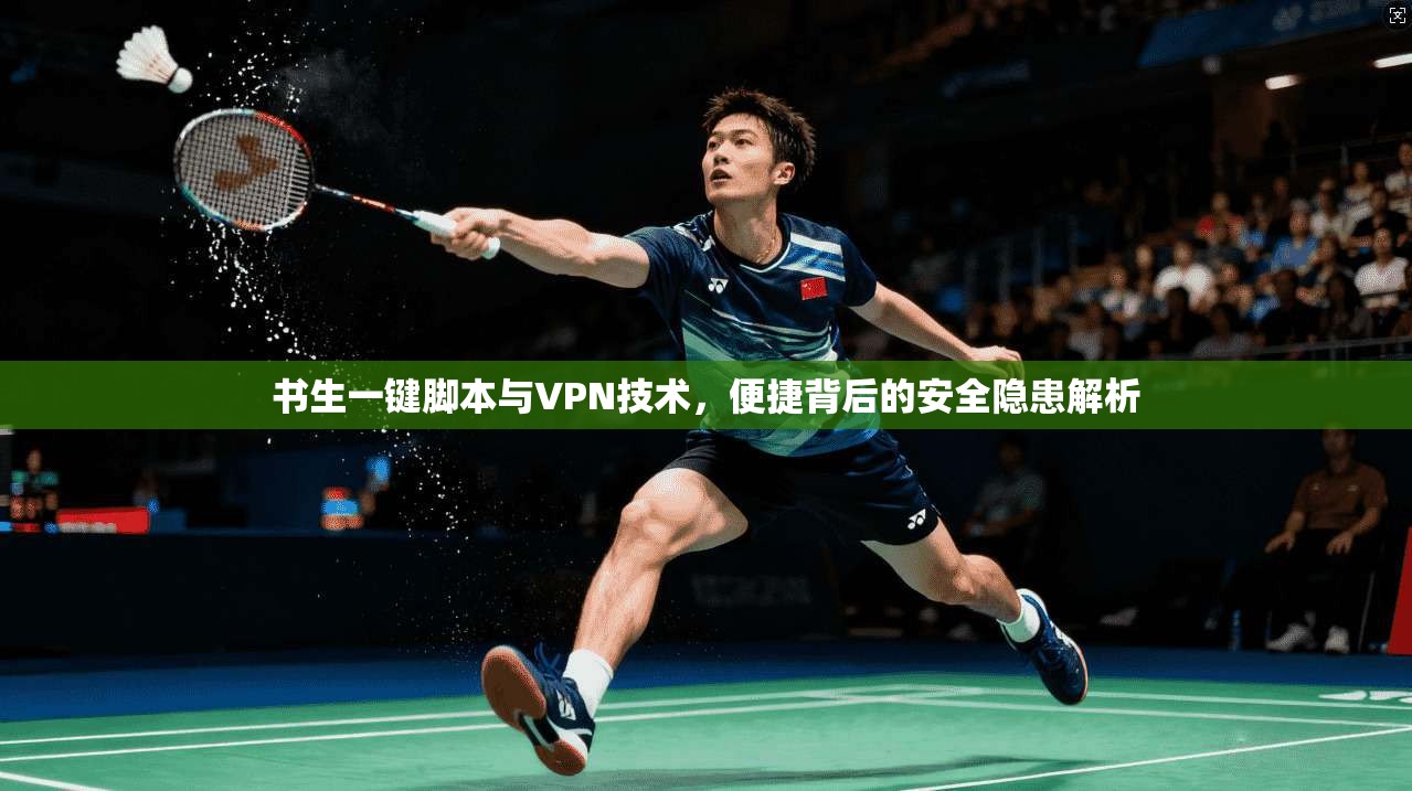 书生一键脚本与VPN技术，便捷背后的安全隐患解析