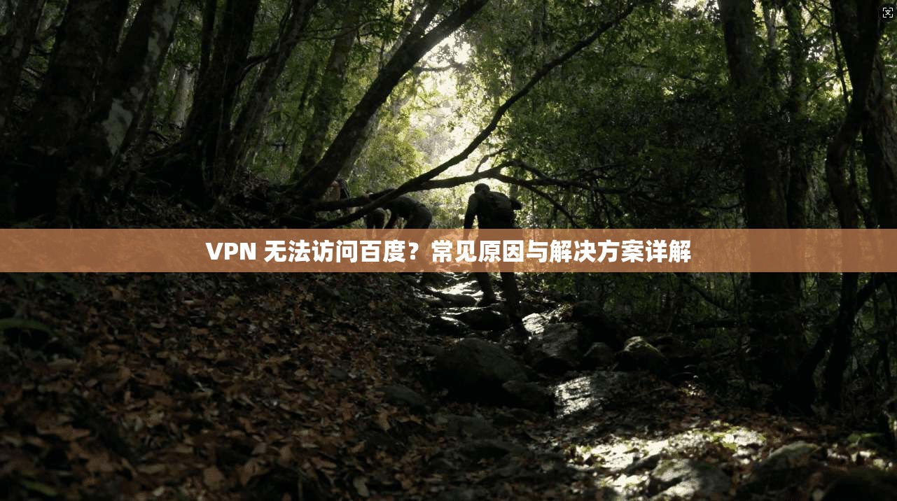 VPN 无法访问百度？常见原因与解决方案详解