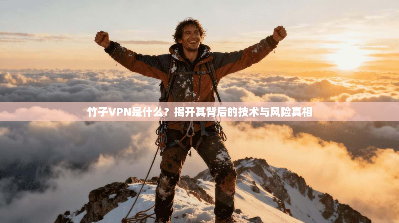竹子VPN是什么？揭开其背后的技术与风险真相