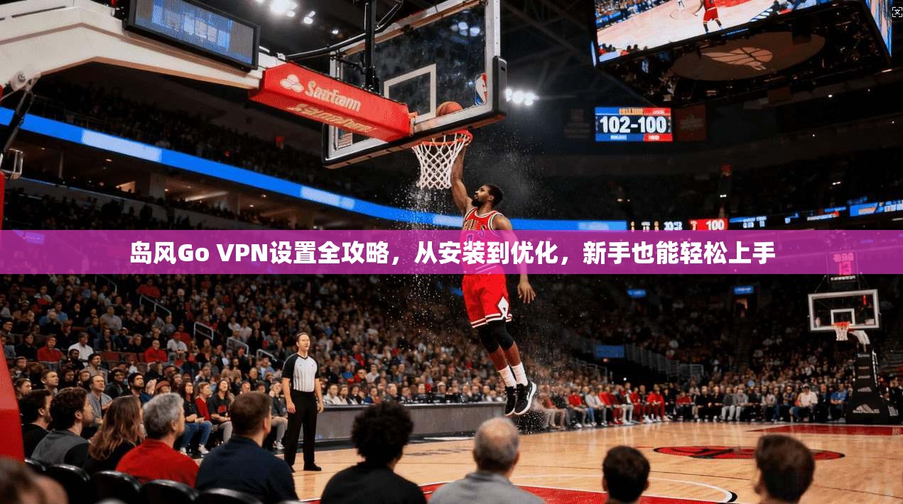 岛风Go VPN设置全攻略，从安装到优化，新手也能轻松上手