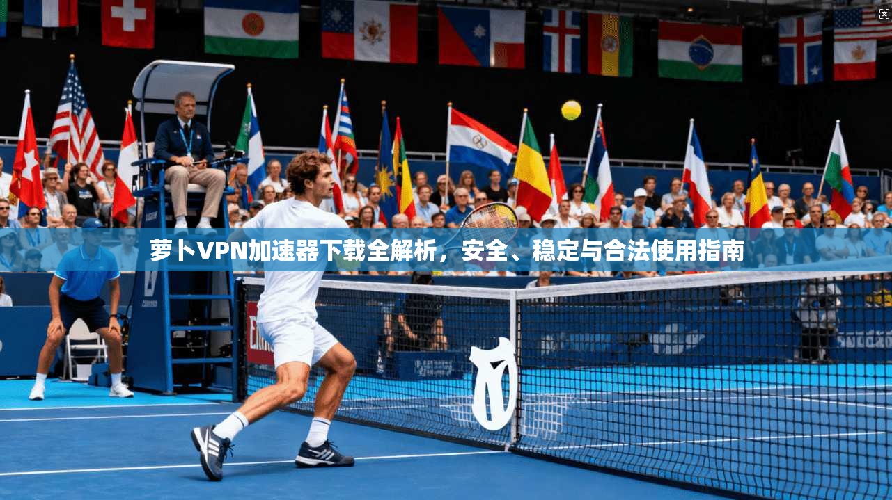 萝卜VPN加速器下载全解析,安全、稳定与合法使用指南