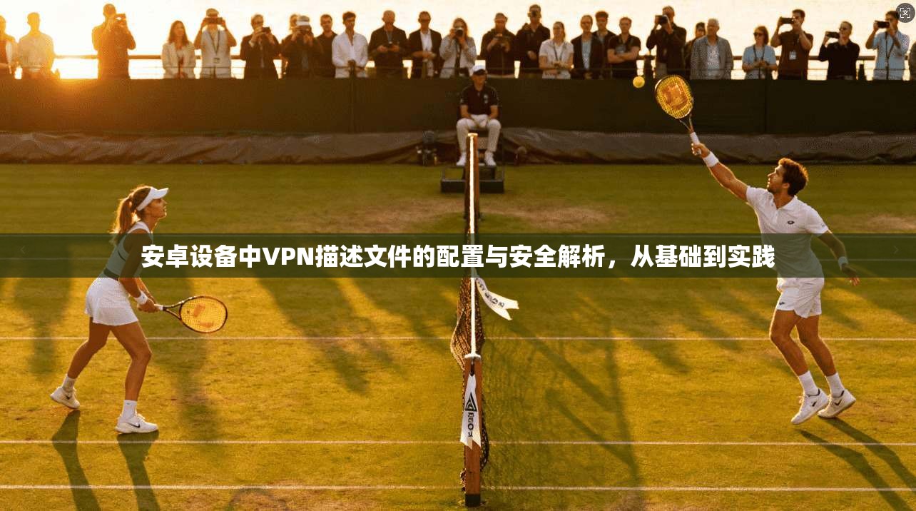 安卓设备中VPN描述文件的配置与安全解析,从基础到实践