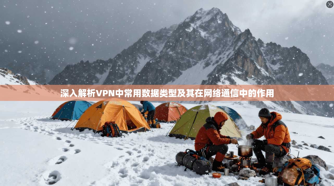 深入解析VPN中常用数据类型及其在网络通信中的作用