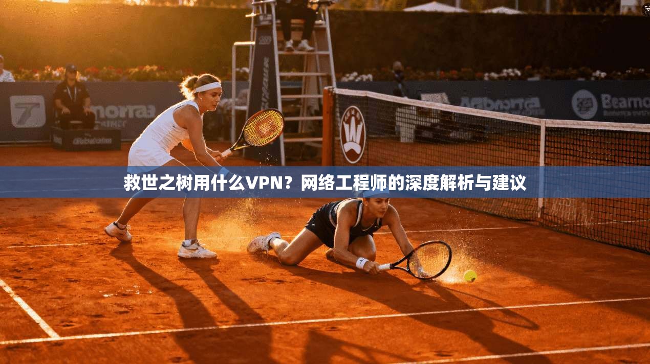 救世之树用什么VPN？网络工程师的深度解析与建议