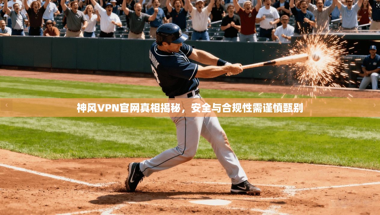 神风VPN官网真相揭秘,安全与合规性需谨慎甄别