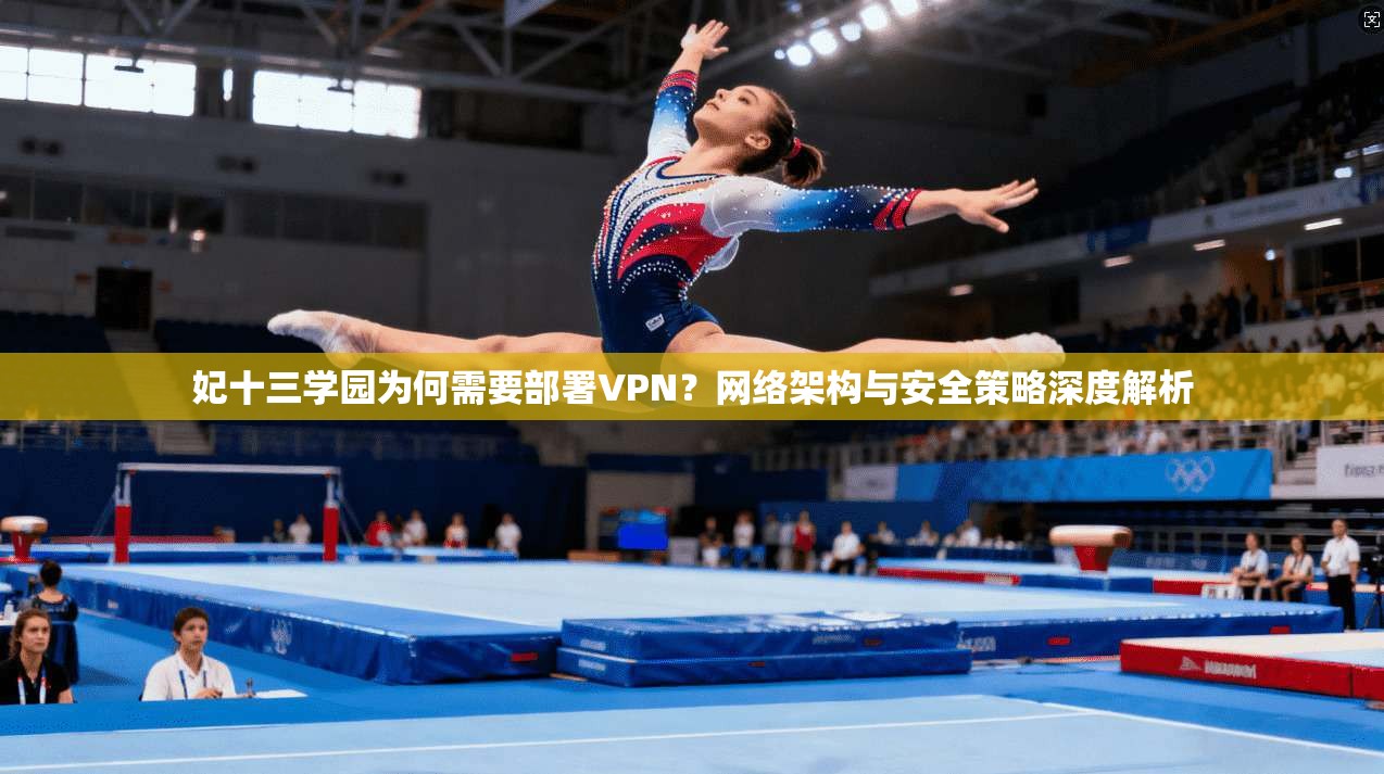 妃十三学园为何需要部署VPN？网络架构与安全策略深度解析