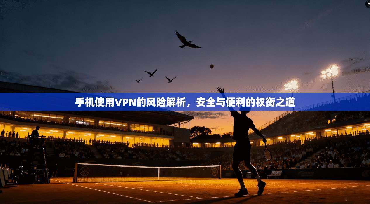 手机使用VPN的风险解析，安全与便利的权衡之道