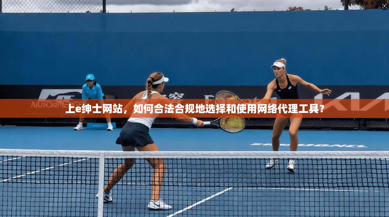 上e绅士网站，如何合法合规地选择和使用网络代理工具？