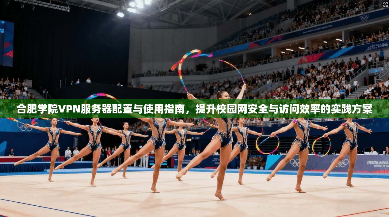 合肥学院VPN服务器配置与使用指南，提升校园网安全与访问效率的实践方案