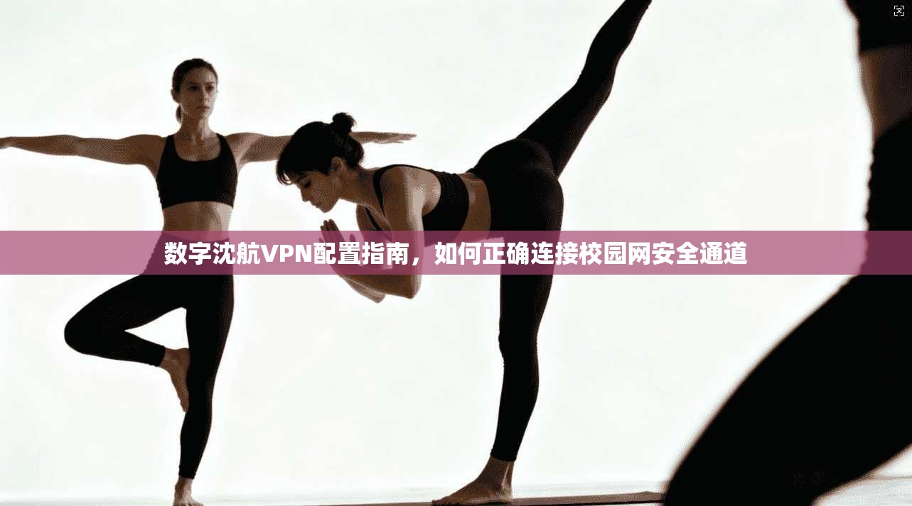 数字沈航VPN配置指南，如何正确连接校园网安全通道