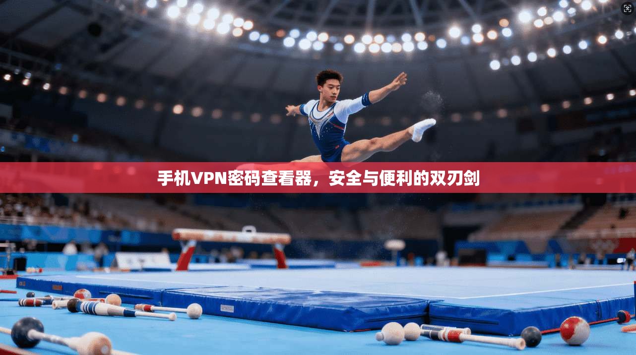 手机VPN密码查看器,安全与便利的双刃剑