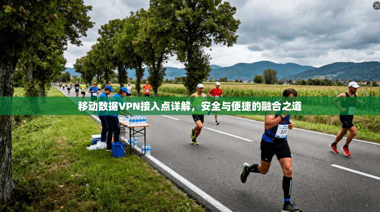 移动数据VPN接入点详解，安全与便捷的融合之道