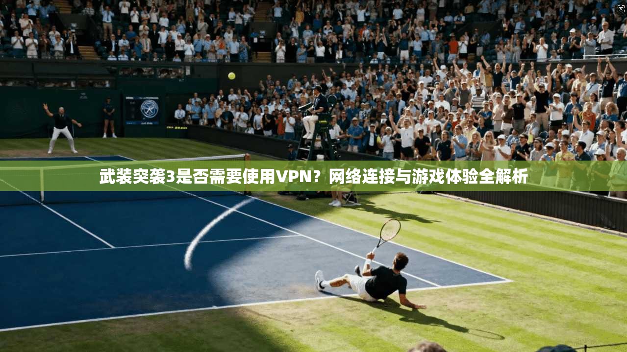 武装突袭3是否需要使用VPN？网络连接与游戏体验全解析