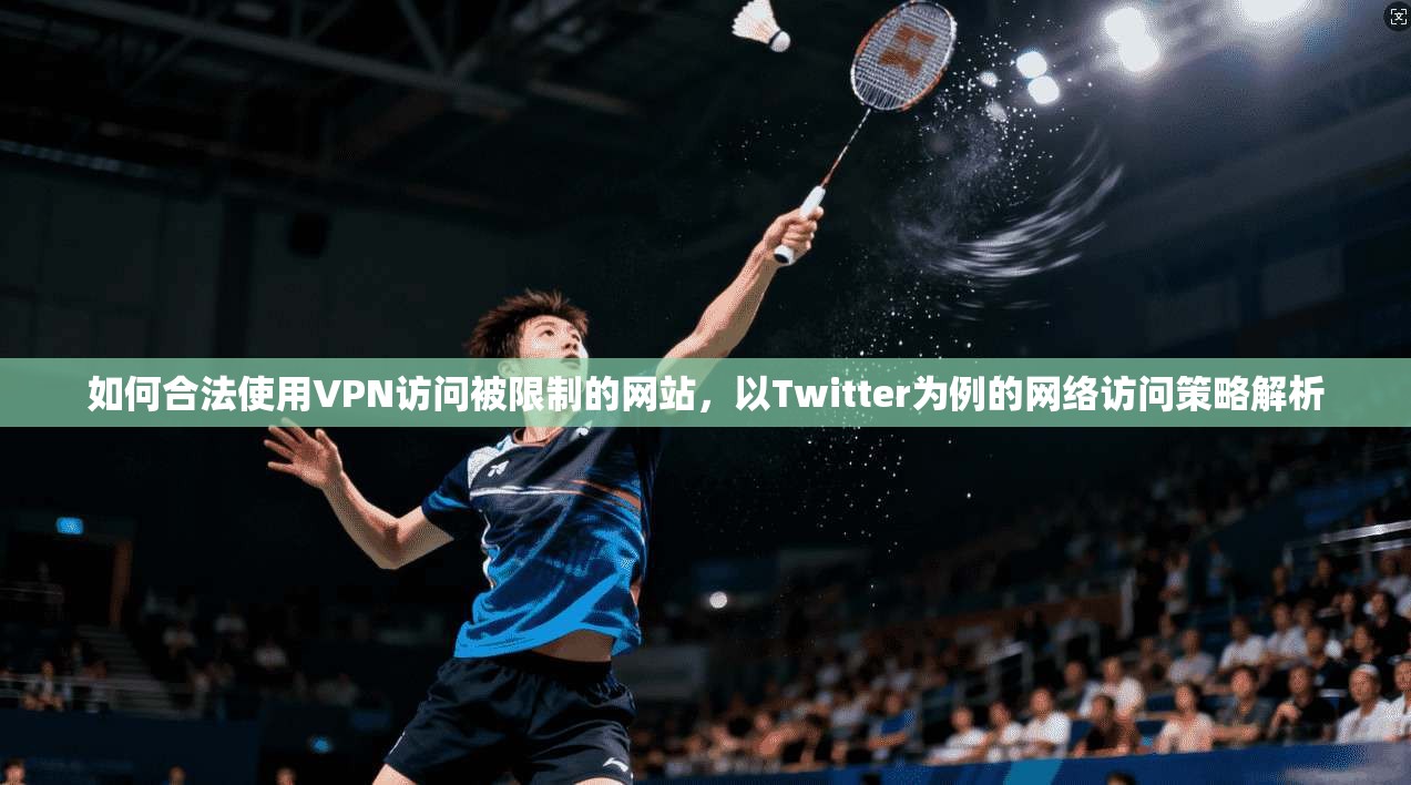 如何合法使用VPN访问被限制的网站,以Twitter为例的网络访问策略解析