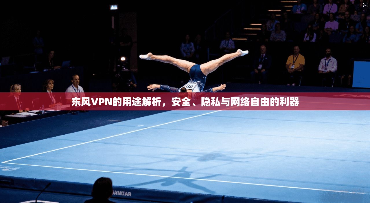 东风VPN的用途解析，安全、隐私与网络自由的利器