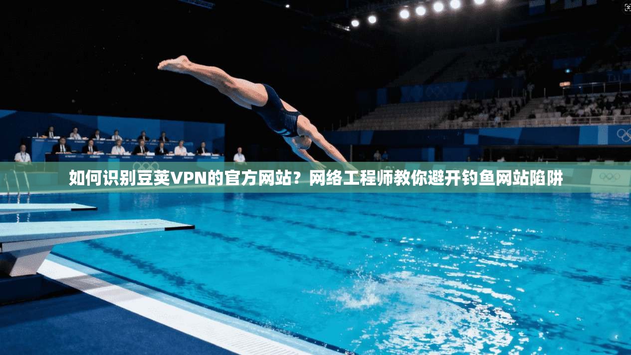 如何识别豆荚VPN的官方网站?网络工程师教你避开钓鱼网站陷阱
