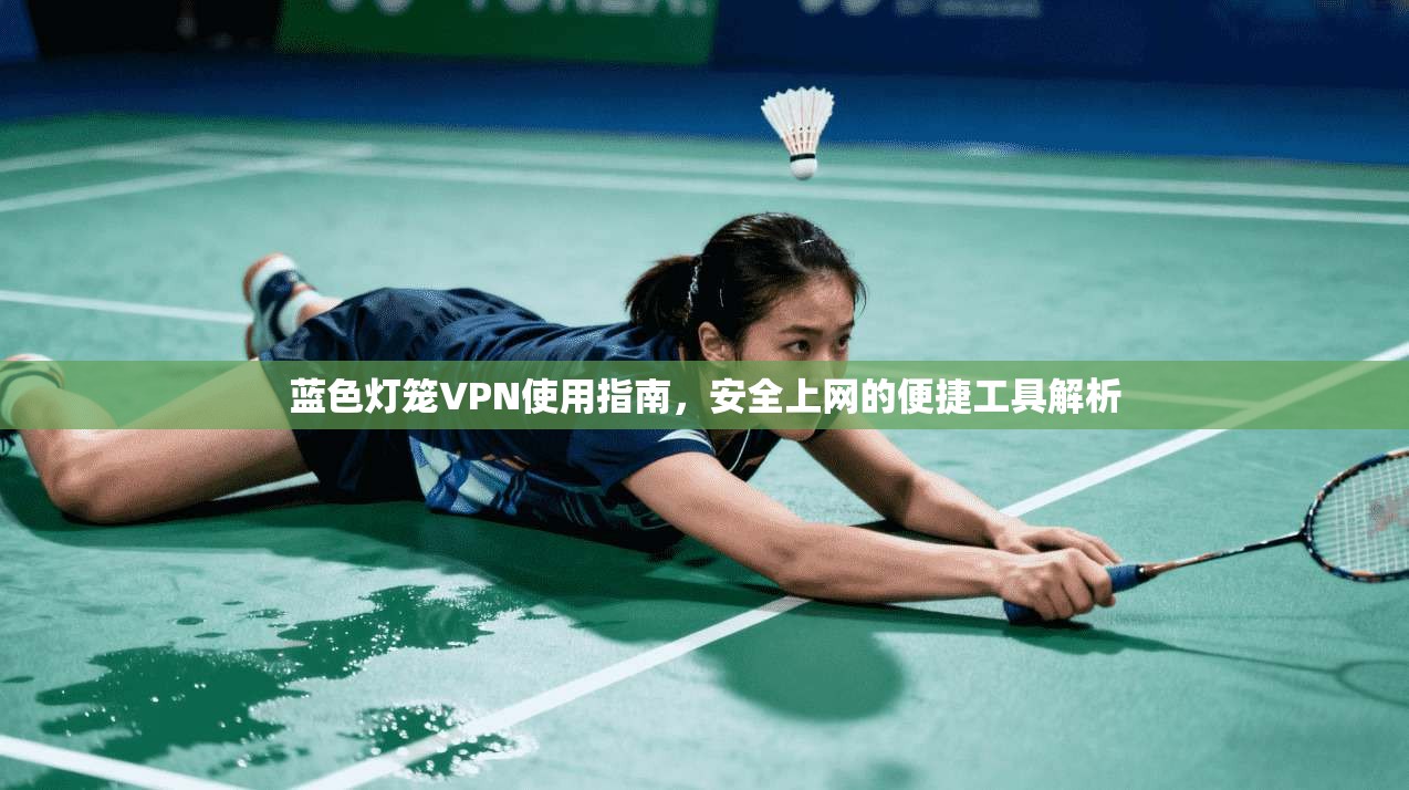 蓝色灯笼VPN使用指南,安全上网的便捷工具解析