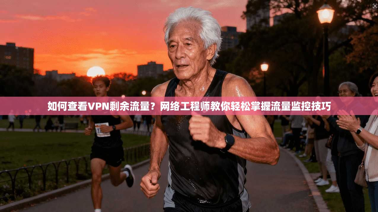 如何查看VPN剩余流量?网络工程师教你轻松掌握流量监控技巧