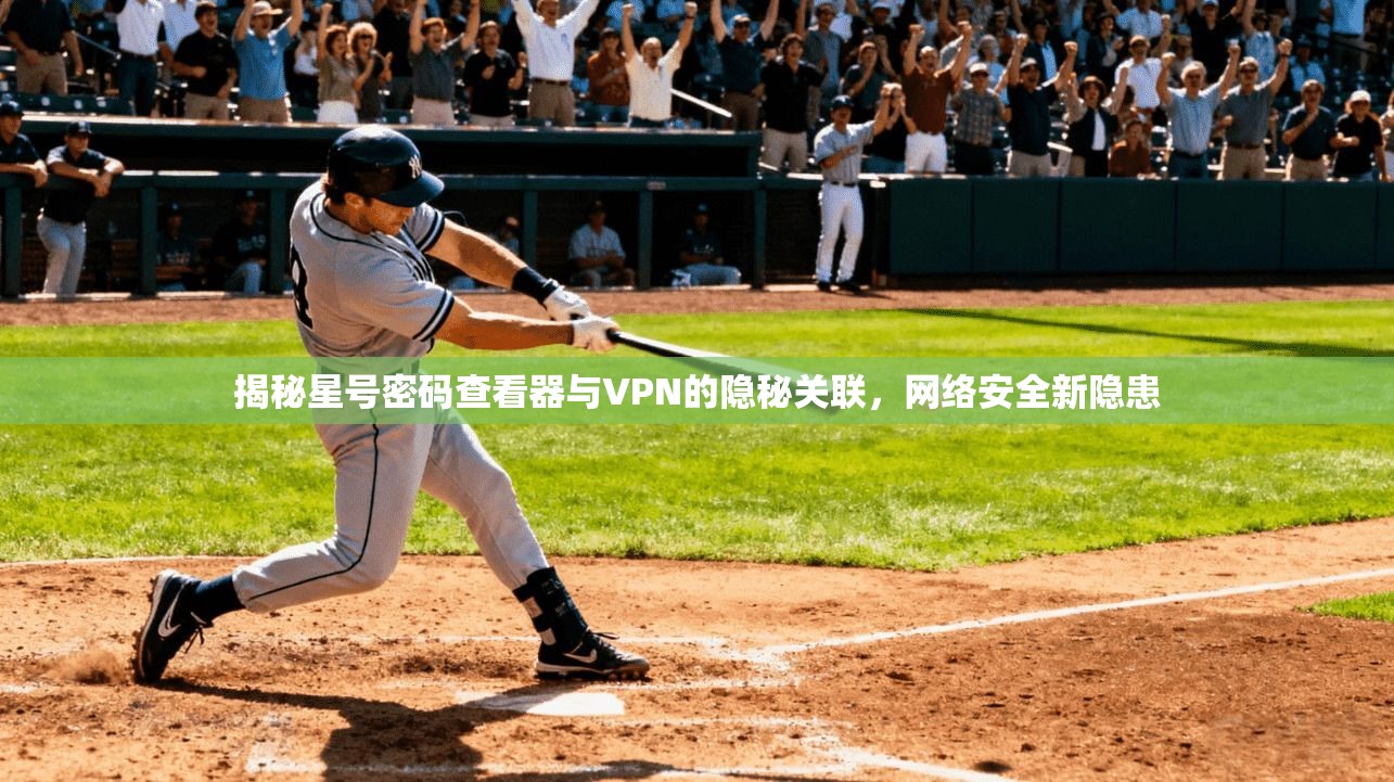揭秘星号密码查看器与VPN的隐秘关联,网络安全新隐患