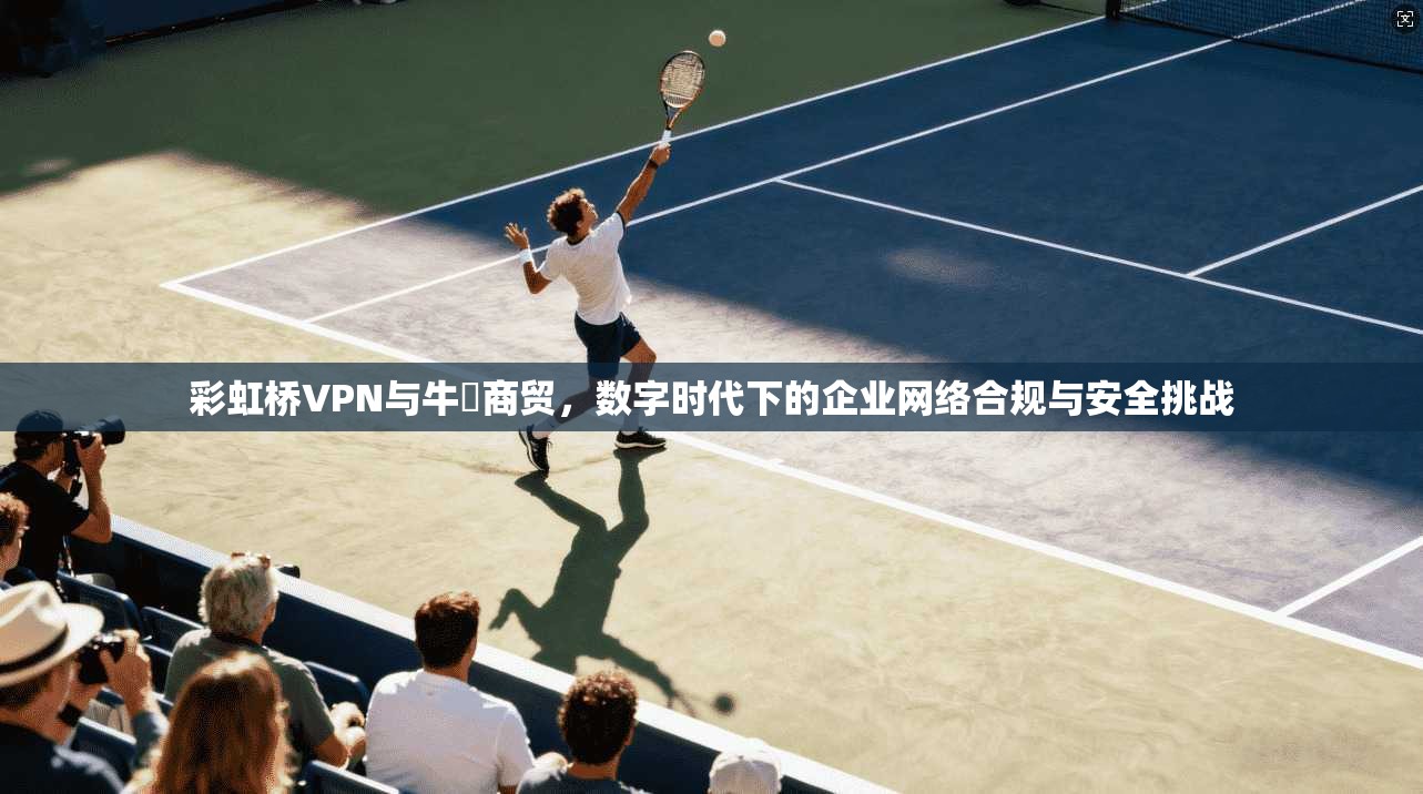 彩虹桥VPN与牛犇商贸,数字时代下的企业网络合规与安全挑战