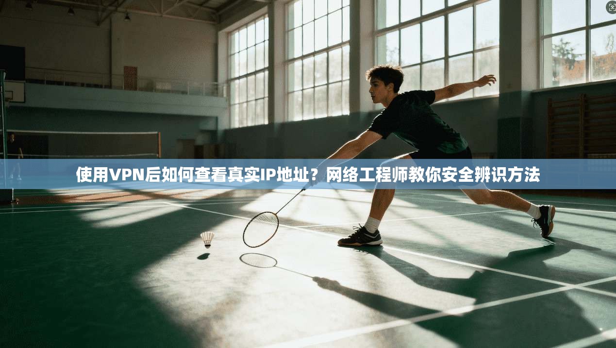 使用VPN后如何查看真实IP地址?网络工程师教你安全辨识方法