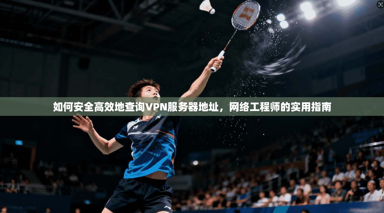 如何安全高效地查询VPN服务器地址，网络工程师的实用指南