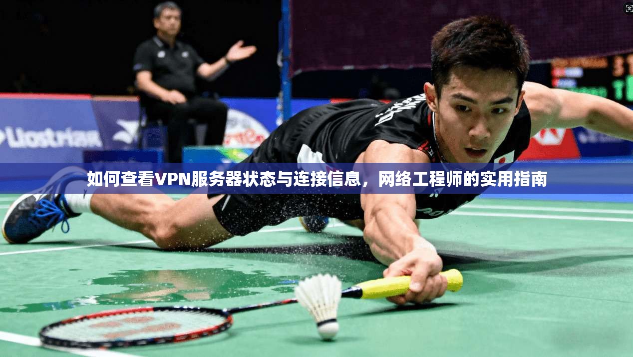 如何查看VPN服务器状态与连接信息，网络工程师的实用指南