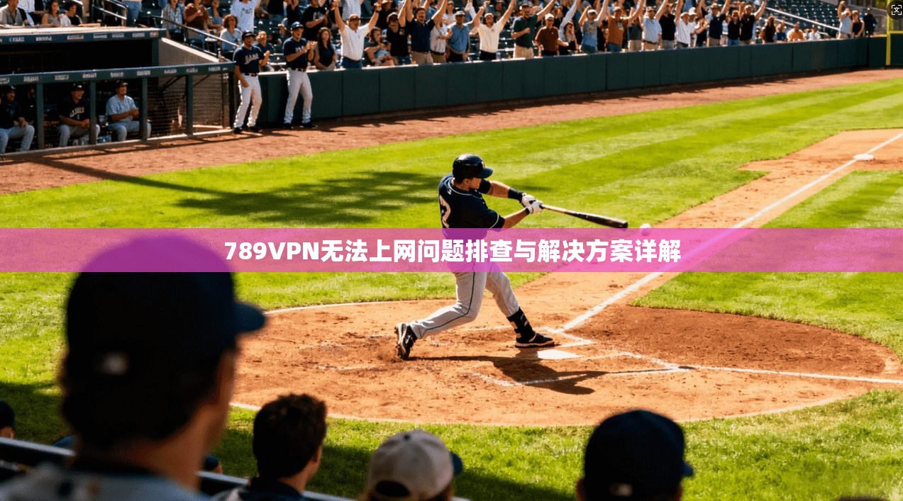789VPN无法上网问题排查与解决方案详解
