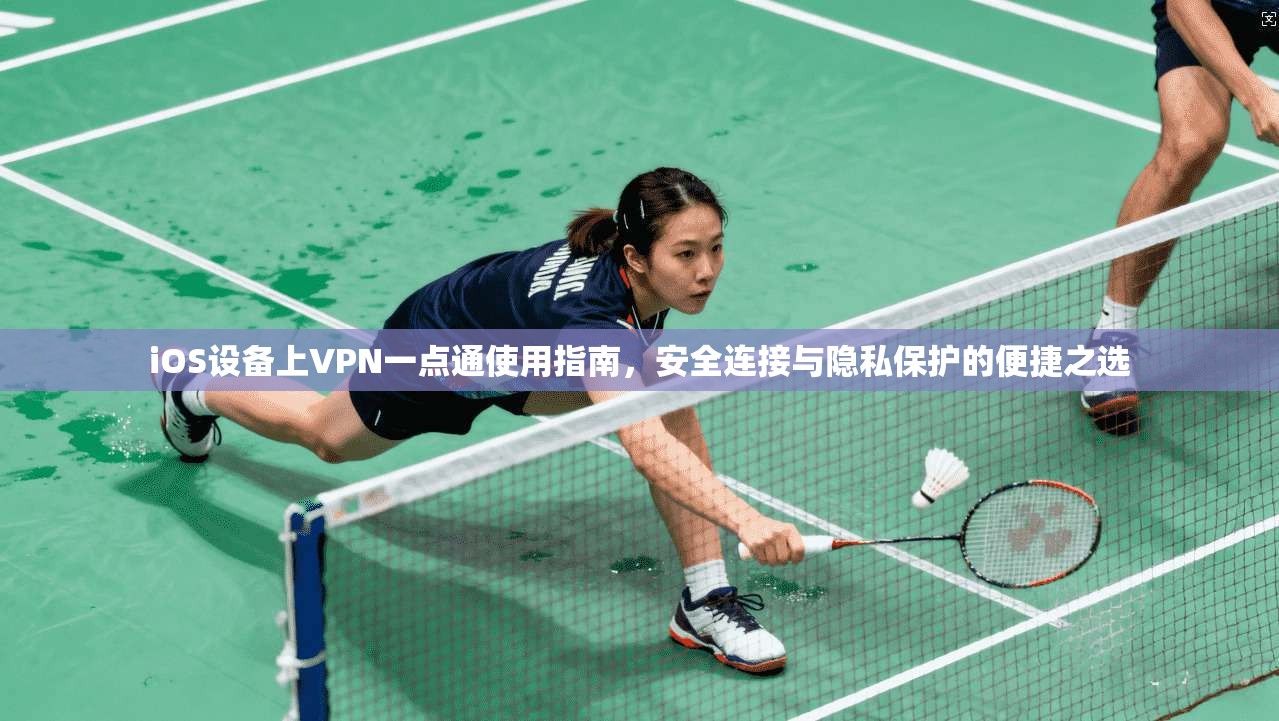 iOS设备上VPN一点通使用指南，安全连接与隐私保护的便捷之选