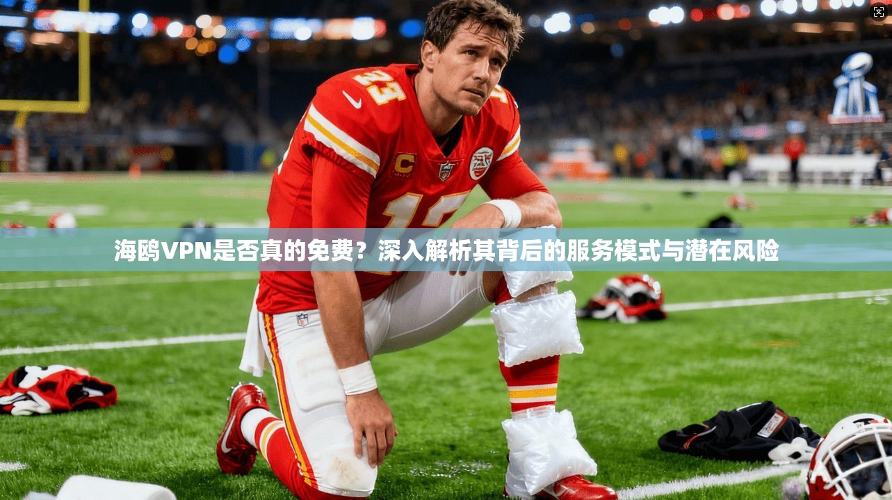 海鸥VPN是否真的免费？深入解析其背后的服务模式与潜在风险