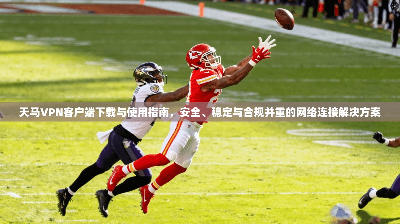 天马VPN客户端下载与使用指南,安全、稳定与合规并重的网络连接解决方案
