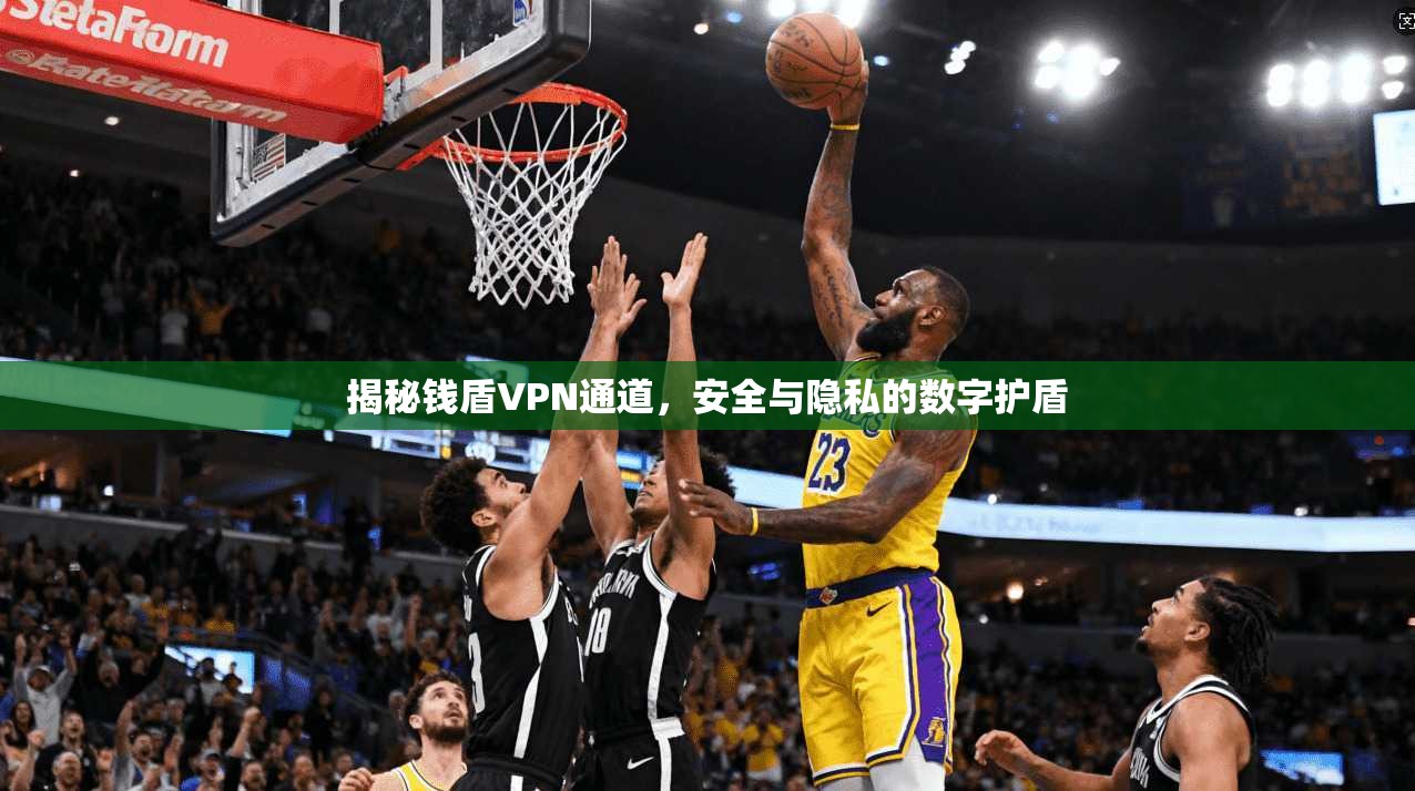 揭秘钱盾VPN通道，安全与隐私的数字护盾